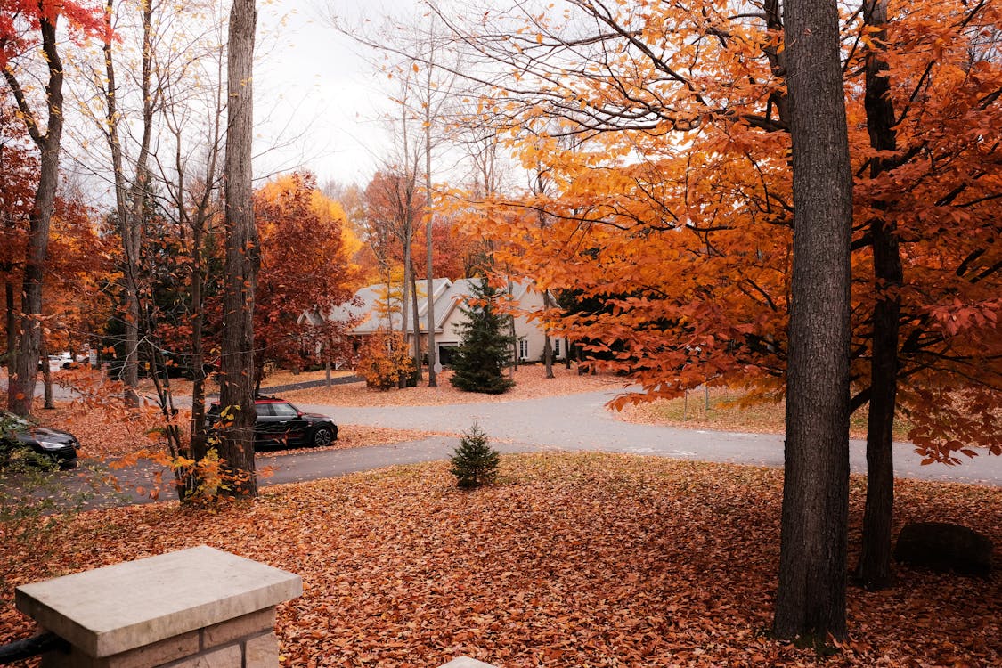 Connecticut Türk Toplumu Rehberi: Stamford'dan New Haven'a Topluluk Haritası